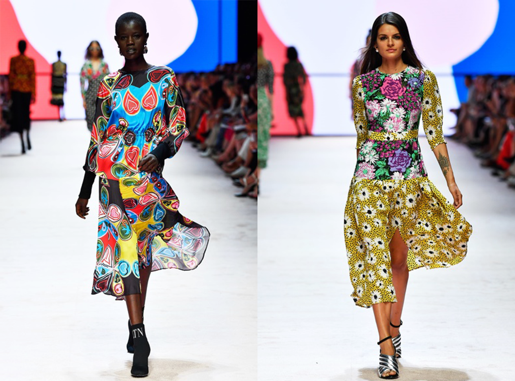 Everything You Need To Know About VAMFF Everything You Need To Know About VAMFF
